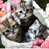 Музыкальные поздравления и красивые открытки🥰