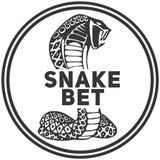 SNAKE⚽️BET