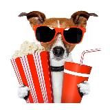 BEST FILMS ONLINE | КИНО И СЕРИАЛЫ