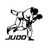 Дзюдо