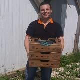 Тульская Ягода - ягоды и саженцы