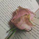 Читаю стихи📖