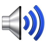 Объявления о духовных мероприятиях. Учения Вознесенных Владык.