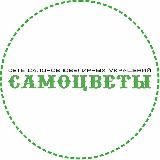 САМОЦВЕТЫ