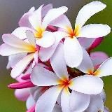 🌌ЖИВЫЕ ФОНЫ🌌