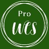 Pro WCS