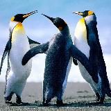 Информатика ВМЕСТЕ!!!)))