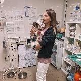Ветеринарный врач Ангелина (vetdoctor.krd)
