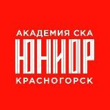 Академия СКА МХЛ