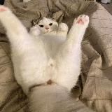 果果-全网福利频道