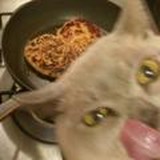 👻GUCCI FAMILY 🔱