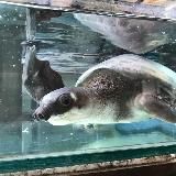 Эмиграм 🇺🇦