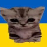 МИРОНЕНКО 💙