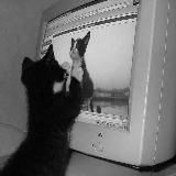 ПРЕМИЯ ИМЕНИ СТАСА МОКИНА