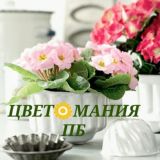 🍀ЦВЕТ🌻МАНИЯ ЖК ПБ 🌿🌺
