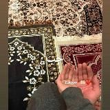 ДИЛНОЗА ШТОРЫ