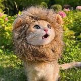 Ламповый канал