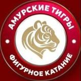АМУРСКИЕ ТИГРЫ🐅