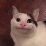 Vida del jugador | Жизнь игрока