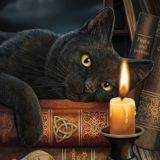 Магия и Годнота