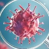 World NEWS | Новости | Факты