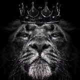 Сантехника СПб | Опт и розница https://termiko24.ru