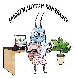 Коллеги, шутки кончились
