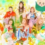 🌷TRI•BE ⟡ TR Entertainment🌷