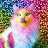 Разноцветный Юмор 18+