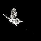 TMIN охранник лоу таба¿