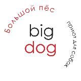 Bigdog_ekb помощь собакам🏡🐕💚