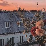 १ . ౿ ׂ ͜ символы ۫ 𓇬 ݃ 🩹 ⇄