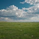 Песнь травы