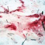 ⛧أنا أحب الكوكايين