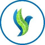 Ледоход на Оби 2025