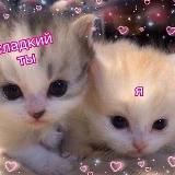kitti_orellsh