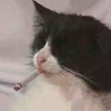 Повод выпить на каждый день