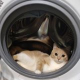 💎хоббифудобзоринг💳💅🏻