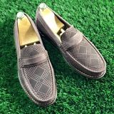 Gold Terra Collection ®️