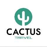 𝗖𝗮𝗰𝘁𝘂𝘀 𝗧𝗿𝗮𝘃𝗲𝗹