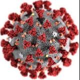 ПЦР/ПЛР Тест Covid-19🇺🇦/🇷🇺