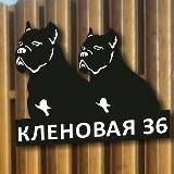 С собакой на море Отдых