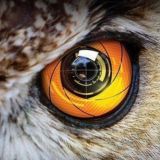 Чат РазведПолёта