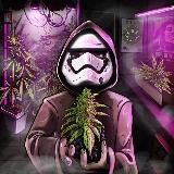 Эштон Кушер