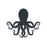 Octopi Store
