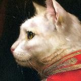 Биотопия | Подпишись