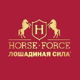 Лошадиная сила- Выбор Звёзд!