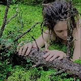 лесные зарисовки