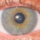 Брамо и его Шпана