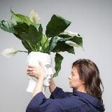 (Не)идеальный город Валерии Савиных